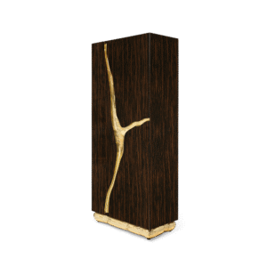 Lapiaz Ebony Cabinet - Image 3