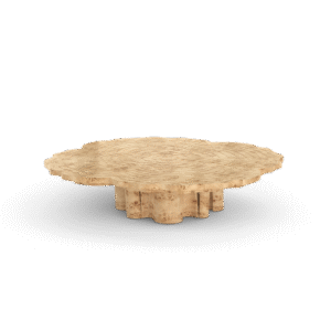 Fortuna Poplar Root Center Table - Image 4