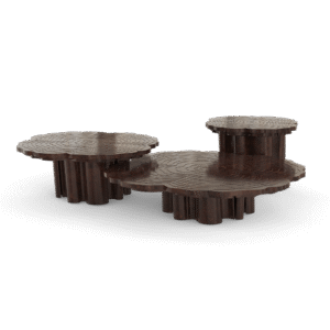 Fortuna Walnut Root Center Table - Image 2