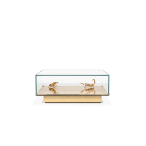 Metamorphosis Emperador Center Table - Image 3