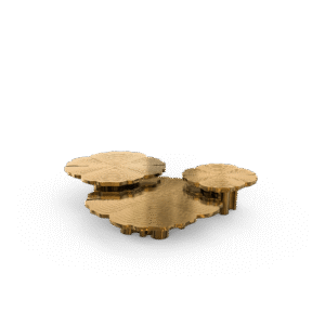 Fortuna Patina Center Table - Image 4