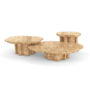Fortuna Poplar Root Center Table - Image 3